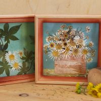 Pictures of dried plants in wooden frames