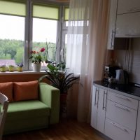 Green sofa in front of the kitchen window