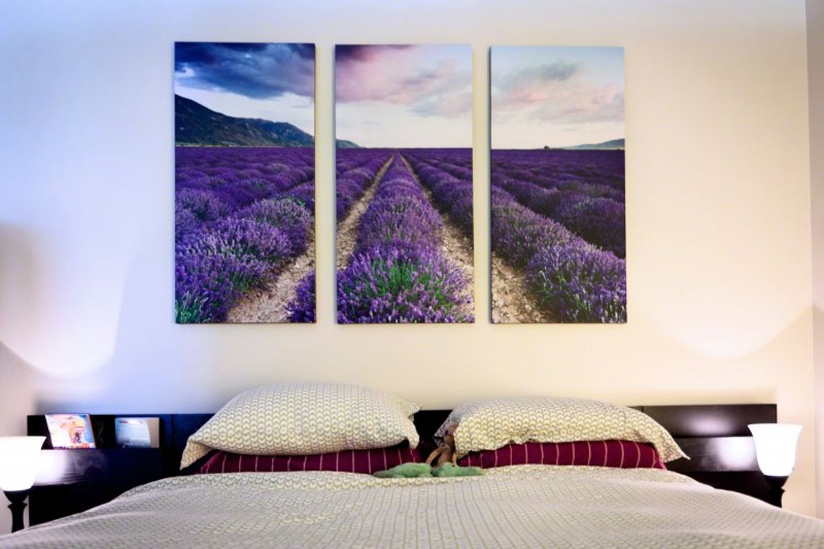 Flowering field in the picture in the bedroom