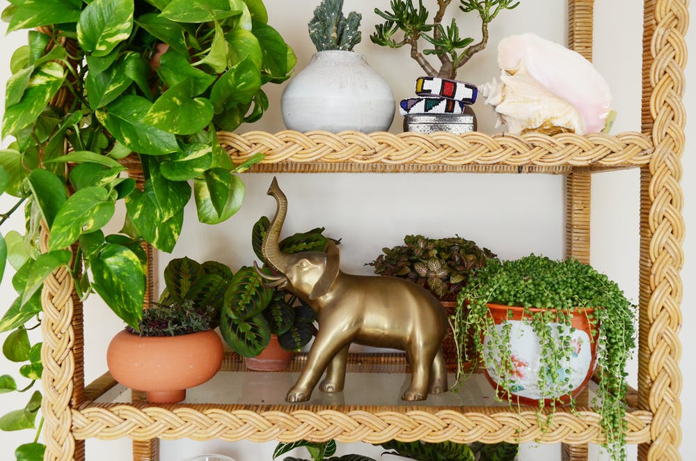 Shelves for home flowers and decorative items