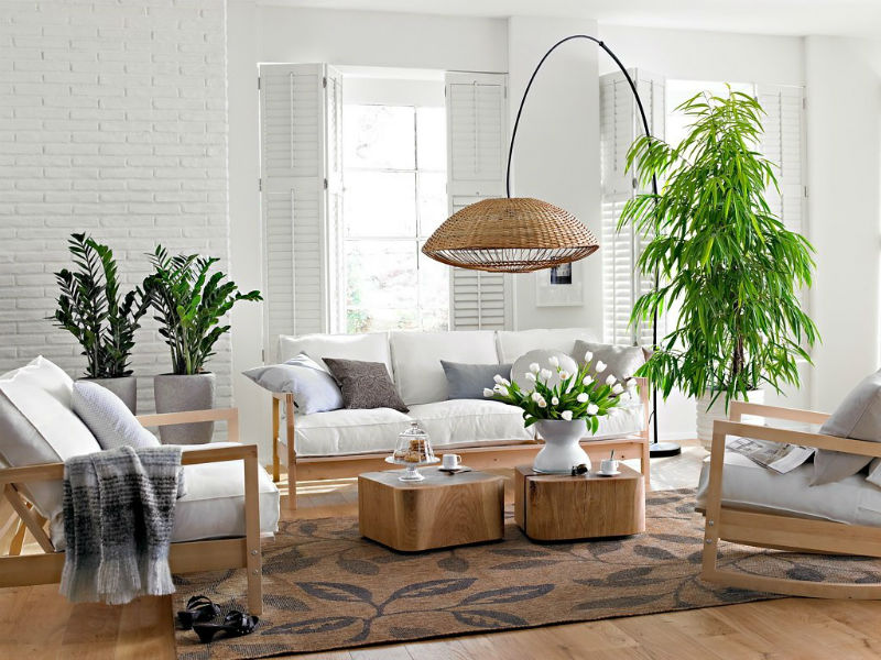 White living room with green plants