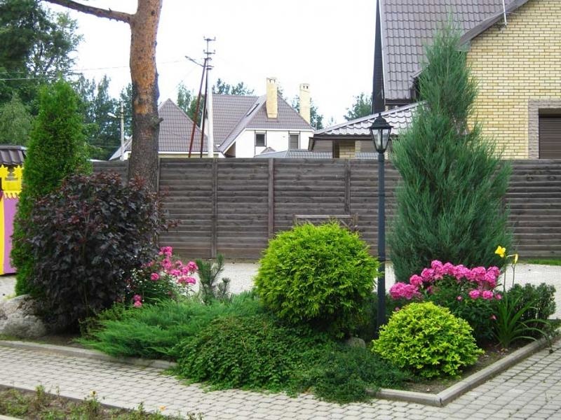 Mixed flower bed with deciduous and coniferous plants