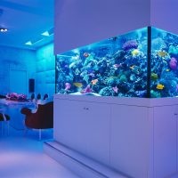 Aquarium in the interior of the living room of a private house