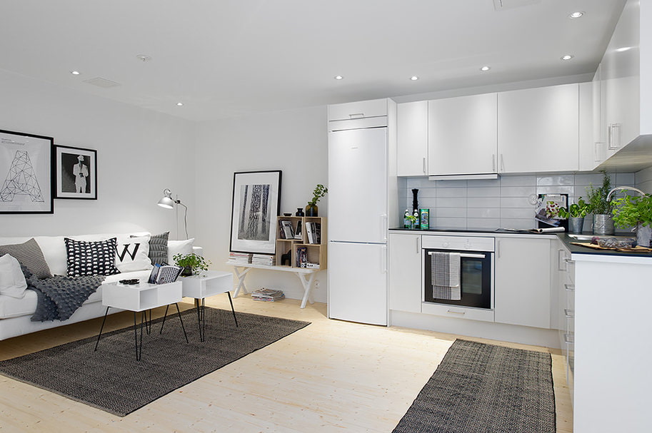Scandinavian-style kitchen-living room interior
