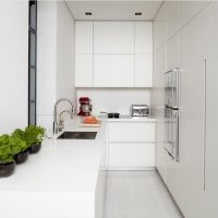 Compact minimalist kitchen