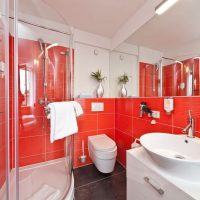 Bathroom design in red and white
